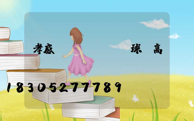 孝感網(wǎng)球場高桿燈