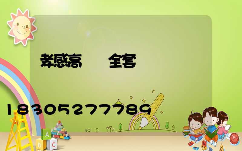 孝感高桿燈全套