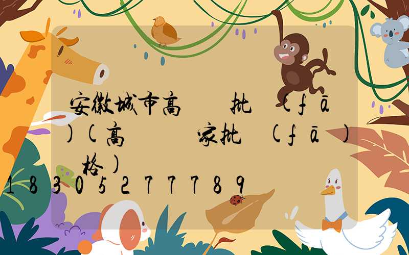 安徽城市高桿燈批發(fā)(高桿燈廠家批發(fā)價格)