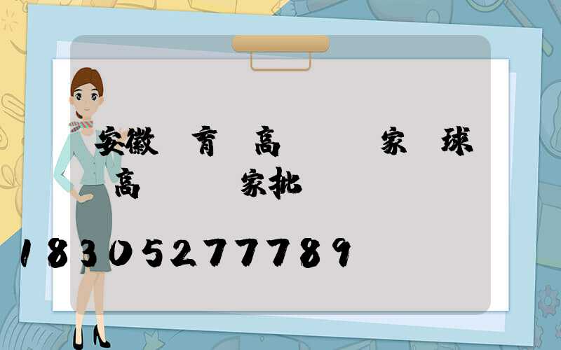 安徽體育場高桿燈廠家(球場高桿燈廠家批發(fā))