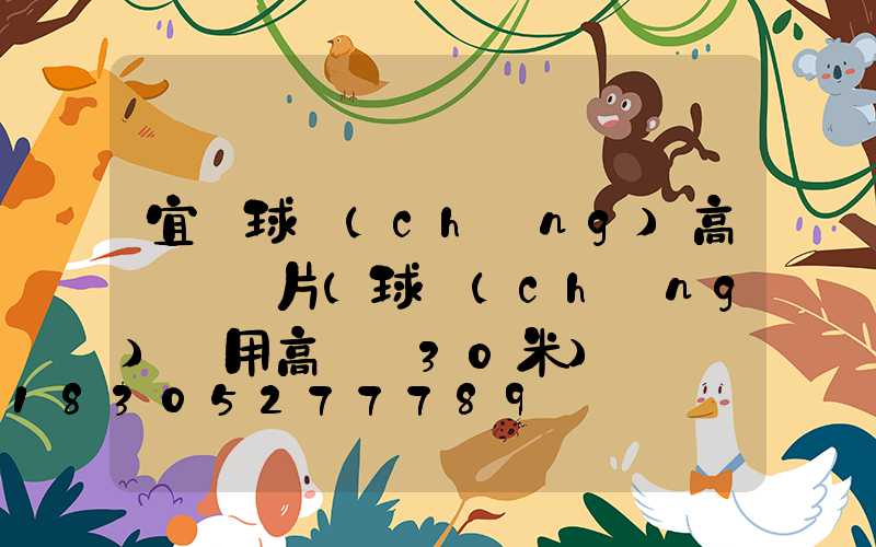 宜賓球場(chǎng)高桿燈圖片(球場(chǎng)專用高桿燈30米)