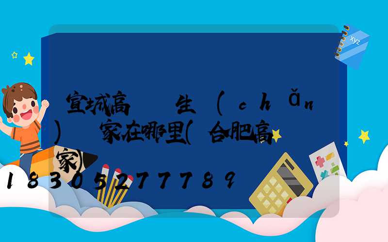 宣城高桿燈生產(chǎn)廠家在哪里(合肥高桿燈廠家)