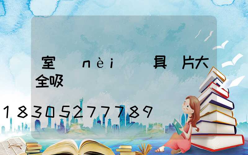 室內(nèi)燈具圖片大全吸頂