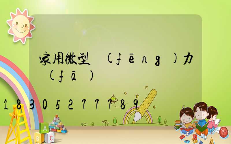 家用微型風(fēng)力發(fā)電機