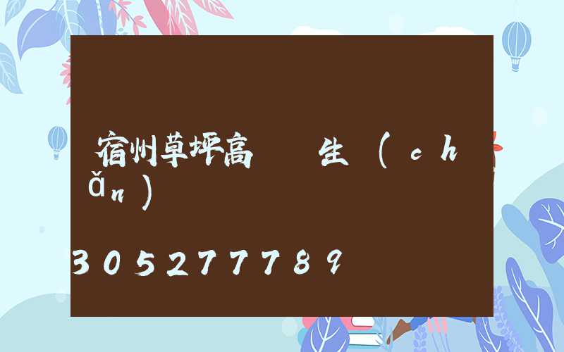 宿州草坪高桿燈生產(chǎn)