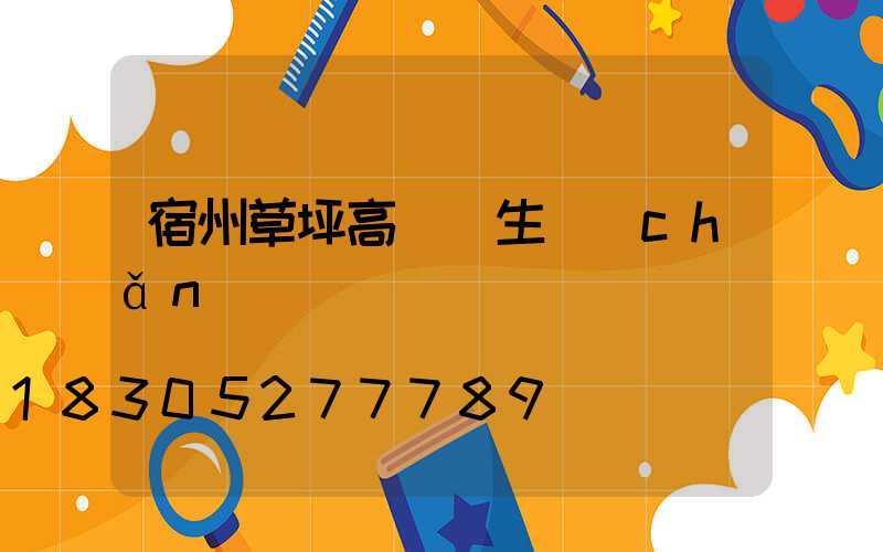 宿州草坪高桿燈生產(chǎn)廠