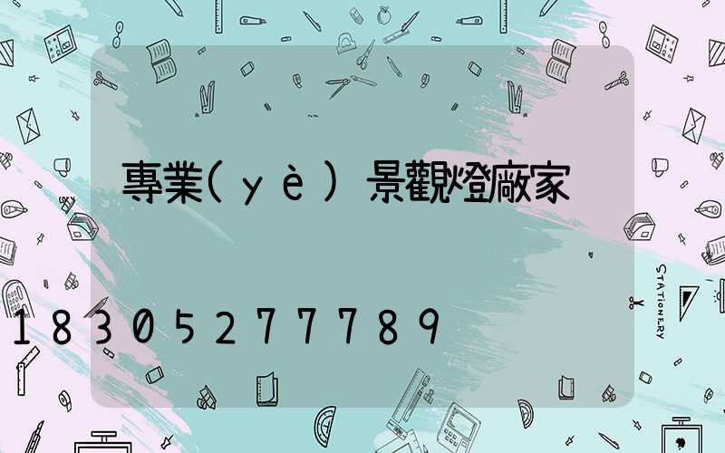 專業(yè)景觀燈廠家