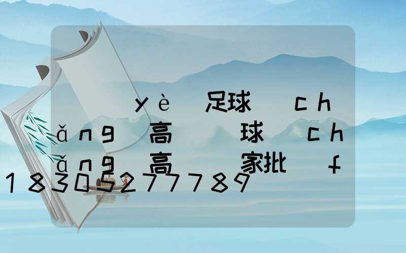 專業(yè)足球場(chǎng)高桿燈(球場(chǎng)高桿燈廠家批發(fā))