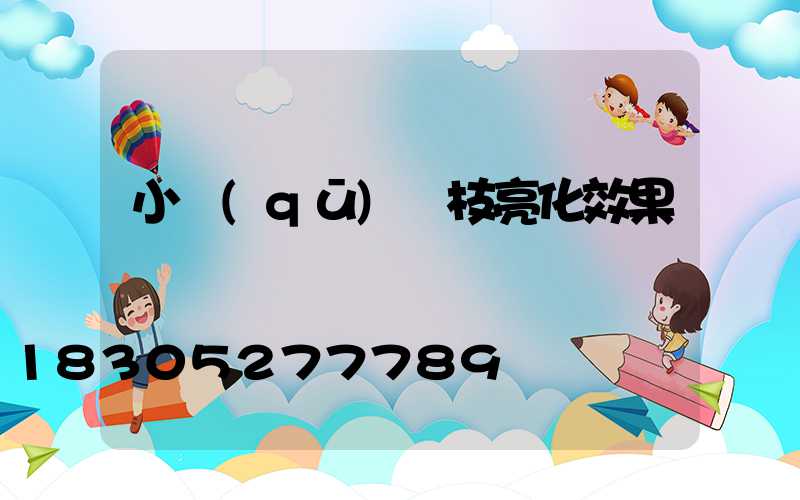 小區(qū)樹枝亮化效果圖