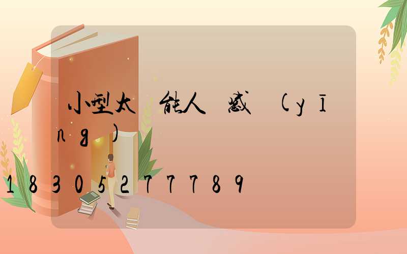 小型太陽能人體感應(yīng)燈
