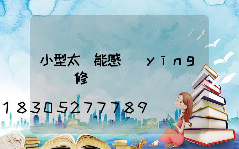 小型太陽能感應(yīng)燈維修
