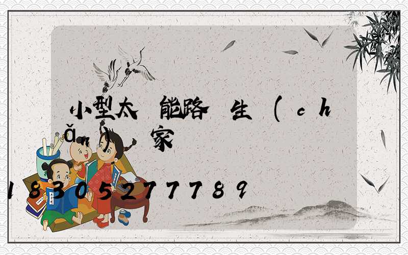 小型太陽能路燈生產(chǎn)廠家