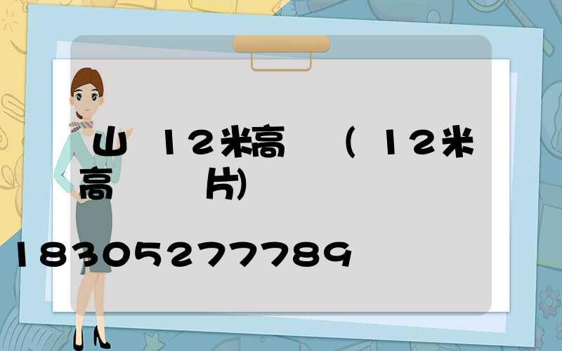 山東12米高桿燈(12米高桿燈圖片)