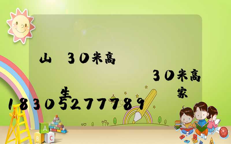 山東30米高桿燈報(bào)價(jià)(30米高桿燈生產(chǎn)廠家)