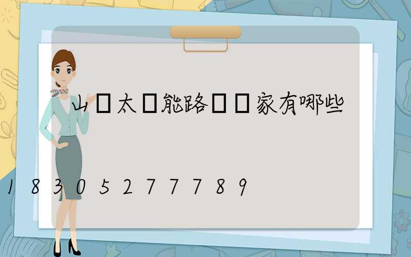 山東太陽能路燈廠家有哪些