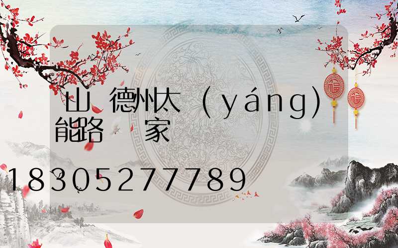 山東德州太陽(yáng)能路燈廠家