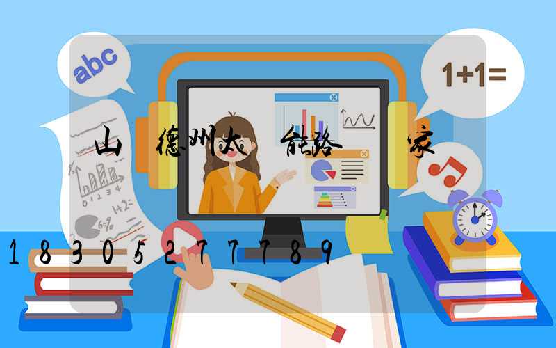 山東德州太陽能路燈廠家