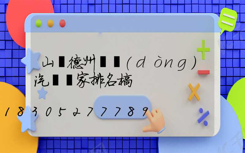 山東德州電動(dòng)汽車廠家排名榜