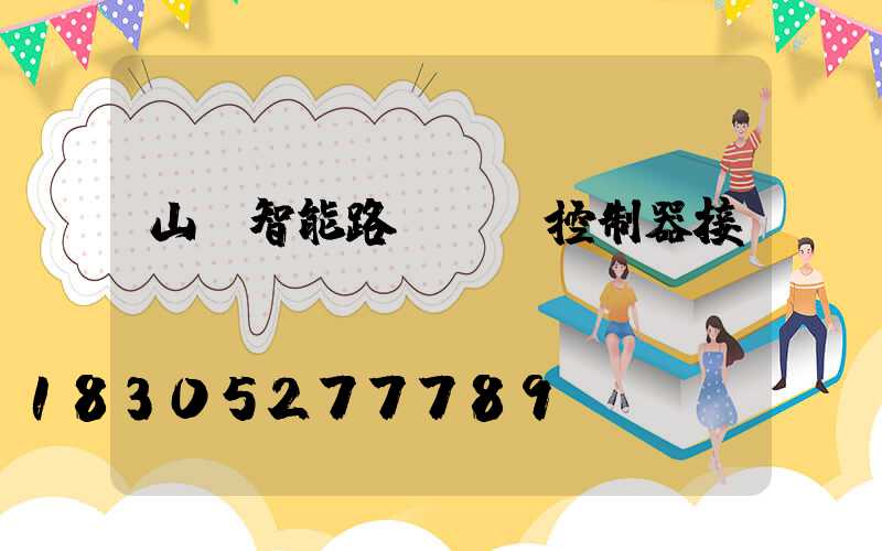 山東智能路燈單燈控制器接線