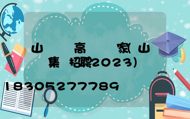 山東機場高桿燈廠家(山東機場集團招聘2023)