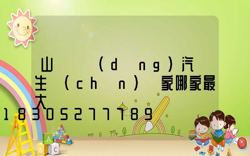 山東電動(dòng)汽車生產(chǎn)廠家哪家最大