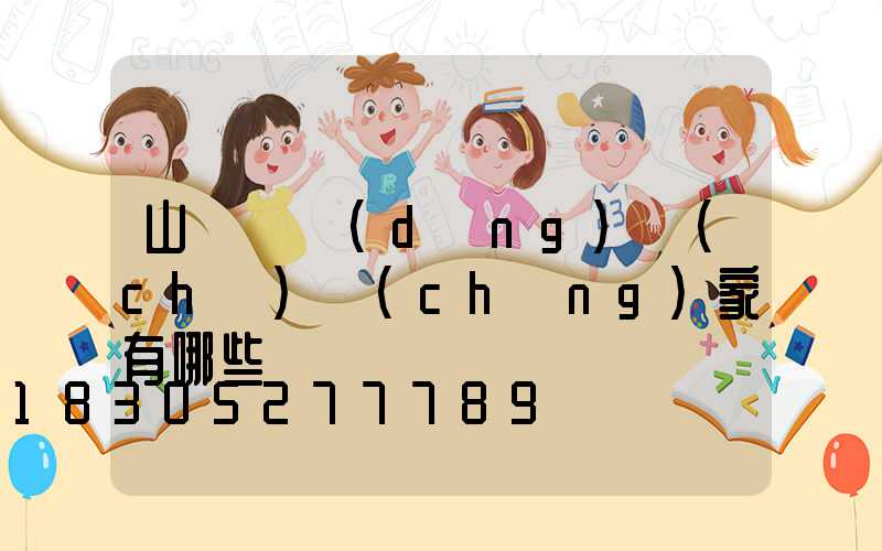 山東電動(dòng)車(chē)廠(chǎng)家有哪些