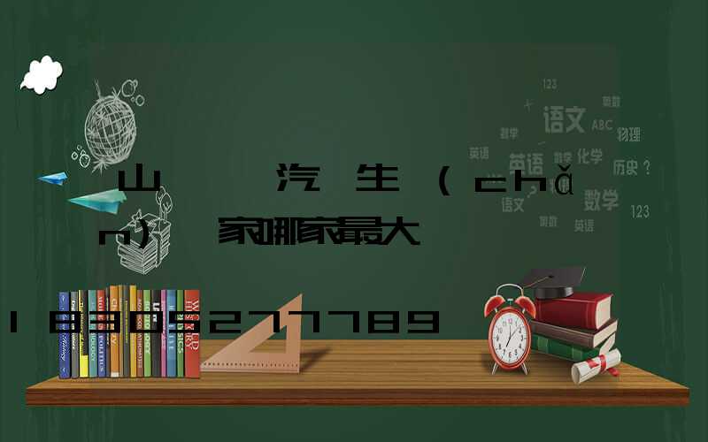 山東電動汽車生產(chǎn)廠家哪家最大
