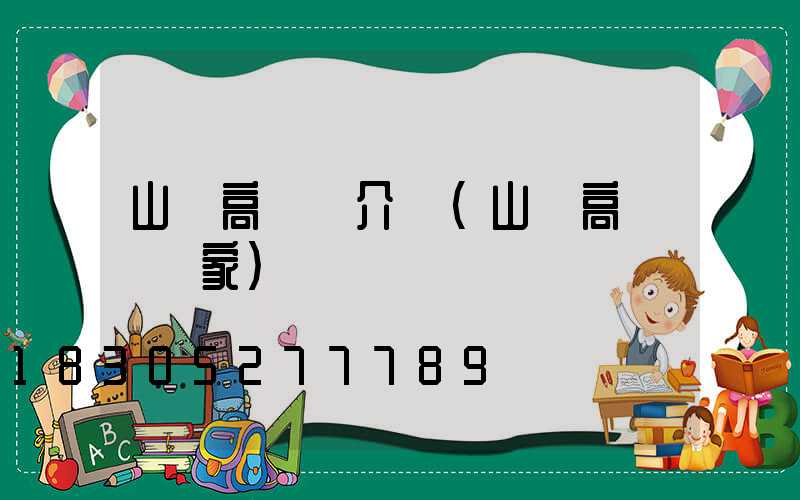 山東高桿燈介紹(山東高桿燈廠家)