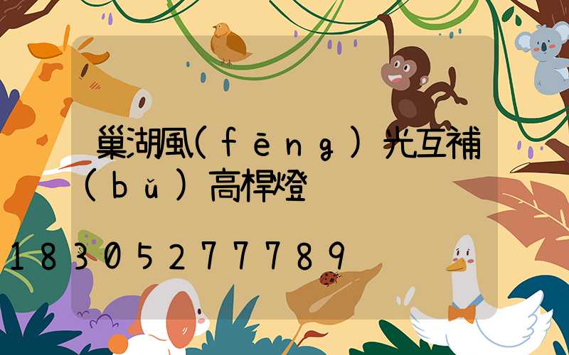 巢湖風(fēng)光互補(bǔ)高桿燈