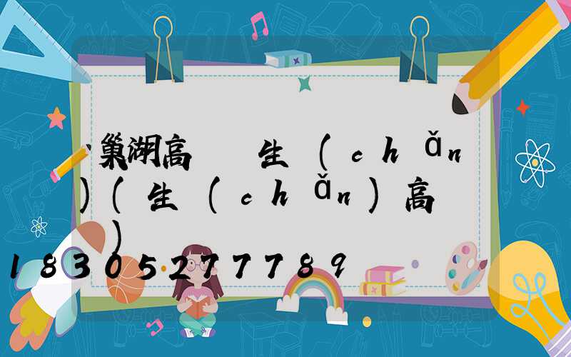 巢湖高桿燈生產(chǎn)(生產(chǎn)高桿燈廠)