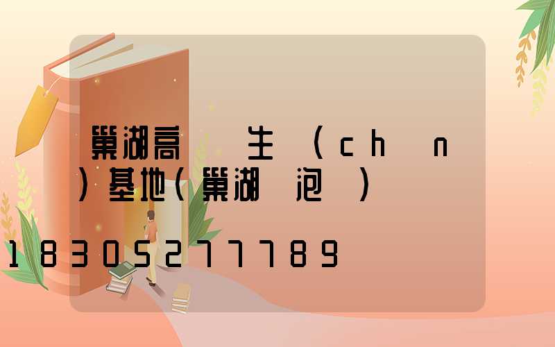 巢湖高桿燈生產(chǎn)基地(巢湖燈泡廠)