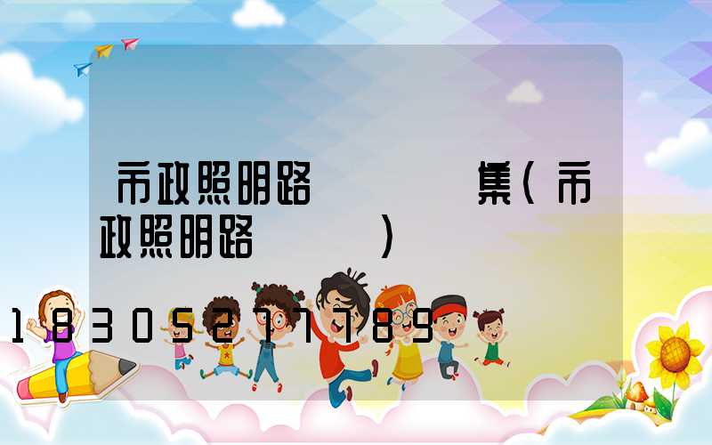 市政照明路燈標準圖集(市政照明路燈標準)