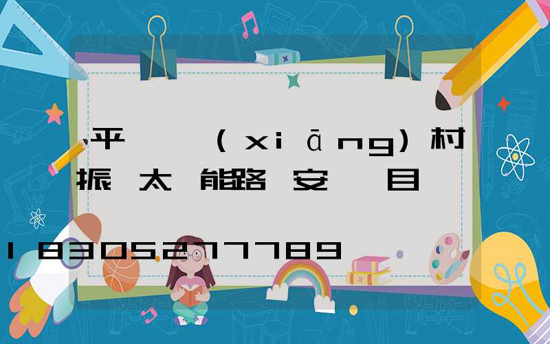 平輿縣鄉(xiāng)村振興太陽能路燈安裝項目