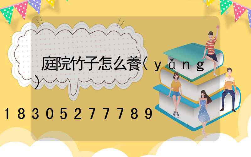 庭院竹子怎么養(yǎng)