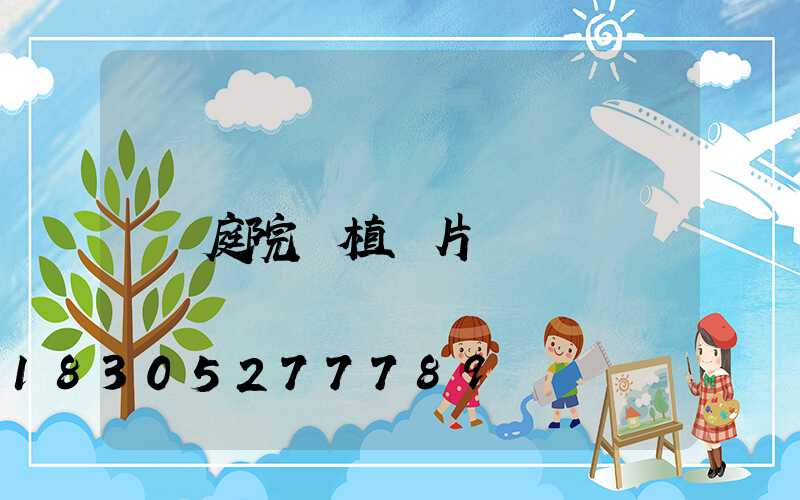 庭院綠植圖片