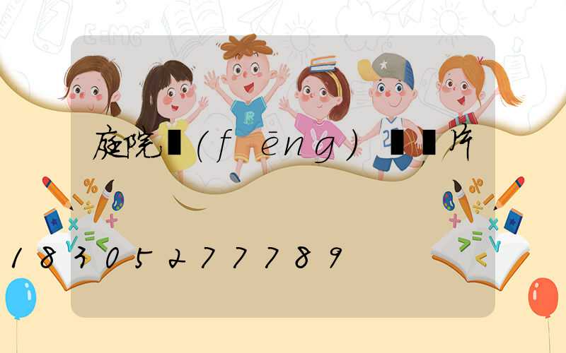 庭院風(fēng)車圖片