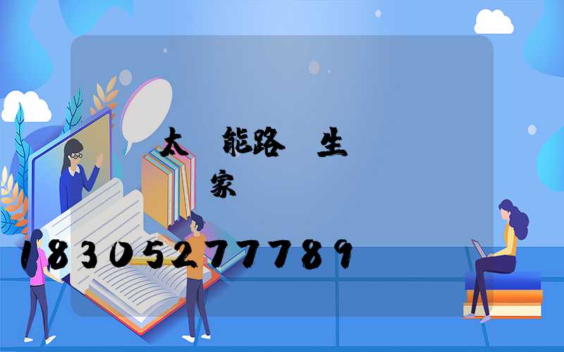 廈門太陽能路燈生產(chǎn)廠家