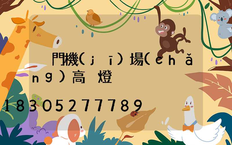 廈門機(jī)場(chǎng)高桿燈