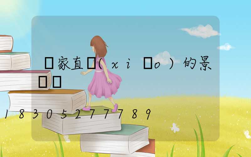 廠家直銷(xiāo)的景觀燈