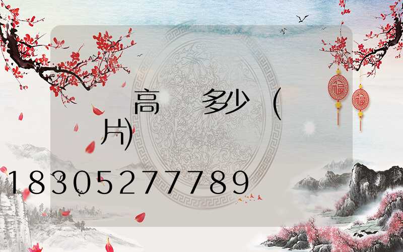 廣場燈高桿燈多少錢(廣場燈圖片)