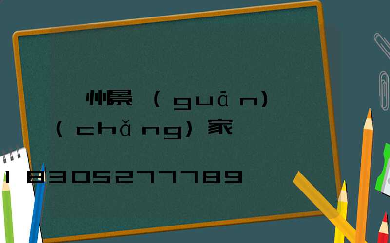 廣州景觀(guān)燈廠(chǎng)家