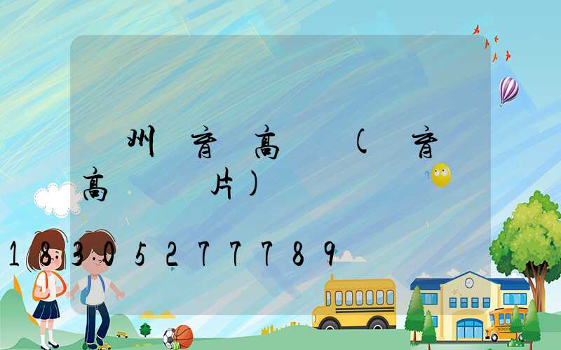 廣州體育場高桿燈(體育場高桿燈圖片)