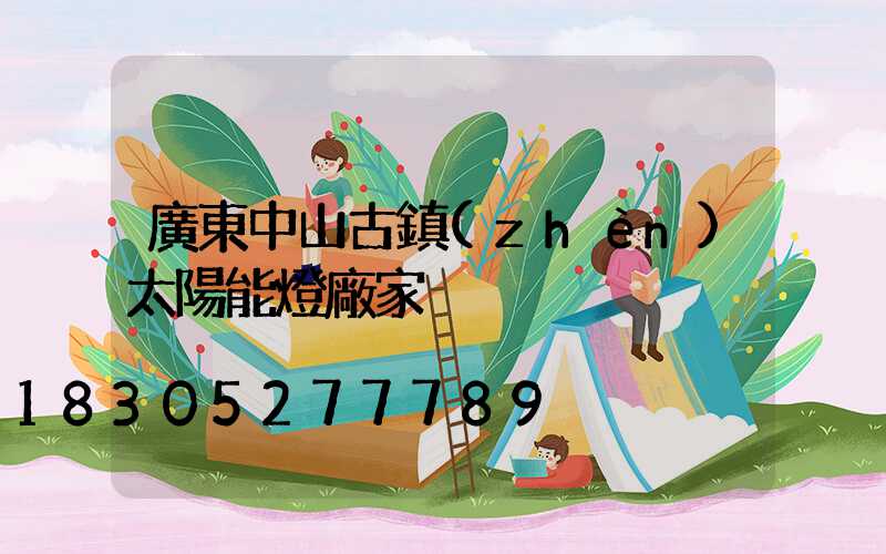 廣東中山古鎮(zhèn)太陽能燈廠家