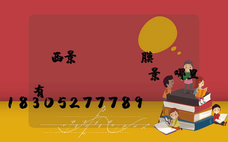 廣西景區(qū)膜結(jié)構(gòu)景觀哪里有