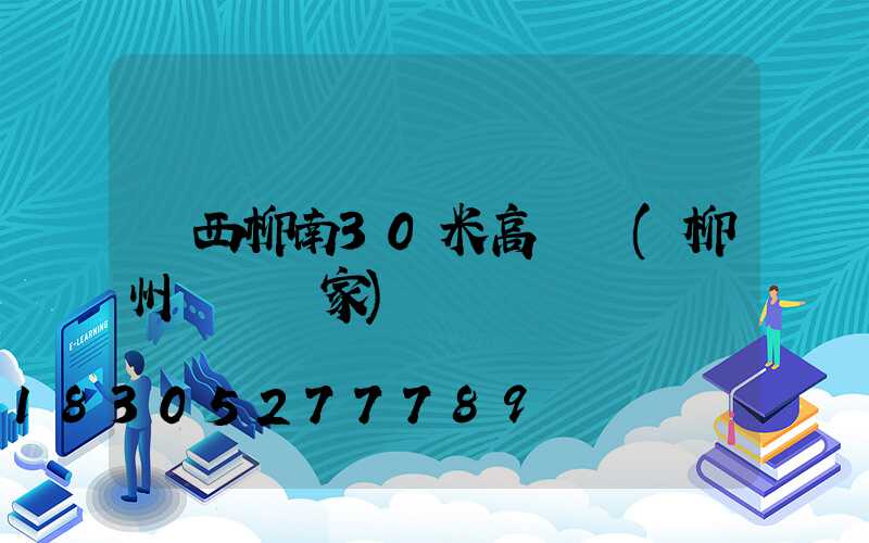 廣西柳南30米高桿燈(柳州燈桿廠家)