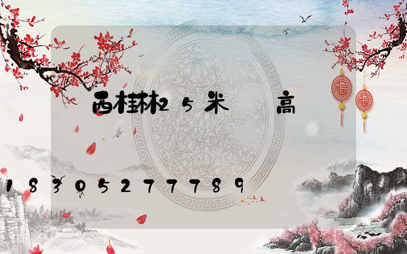 廣西桂林25米廣場高桿燈