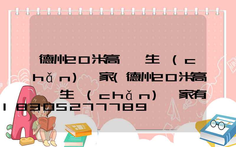 德州20米高桿燈生產(chǎn)廠家(德州20米高桿燈生產(chǎn)廠家有哪些)