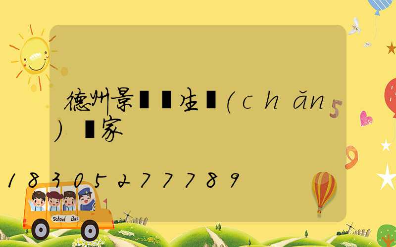 德州景觀燈生產(chǎn)廠家