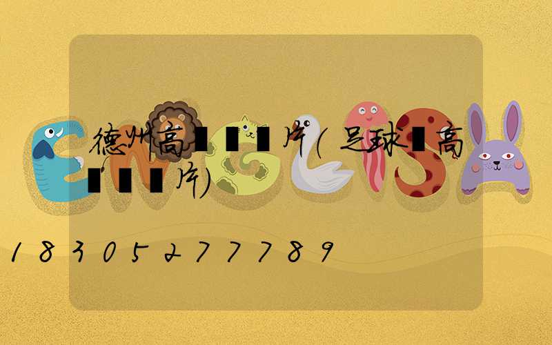 德州高桿燈圖片(足球場高桿燈圖片)