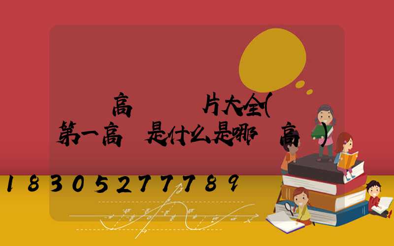 慶陽高桿燈圖片大全(慶陽第一高樓是什么是哪個高樓)